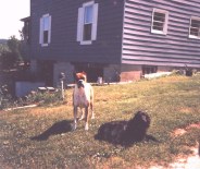 Tex2 & Lizzie 1987