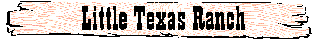 Little Texas Ranch